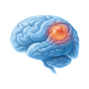 Brain Tumor Surgery