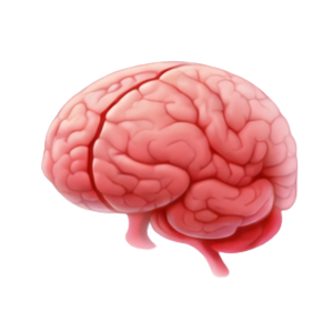 Stroke Management