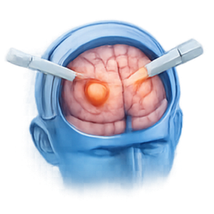 Head & Brain